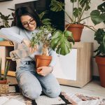 Jardim dentro de casa? Especialista traz dicas para montar um espaço de natureza em ambientes internos