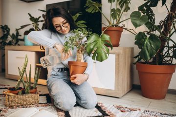 Jardim dentro de casa? Especialista traz dicas para montar um espaço de natureza em ambientes internos