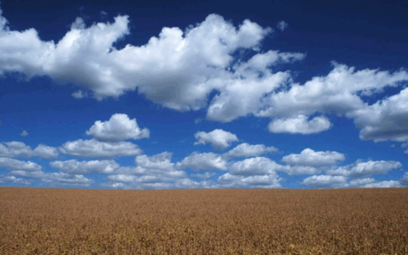 Previsão: Rio Grande do Sul terá chuvas abaixo da média nos próximos três meses, aponta Copaaergs