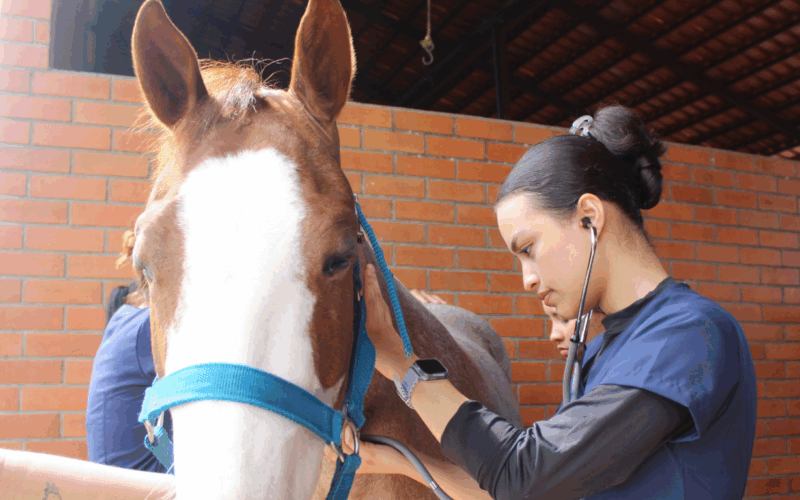 Formação em Medicina Veterinária na Fametro acompanha expansão do setor no Brasil
