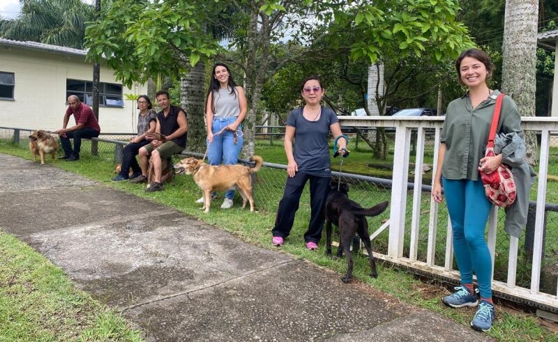 “Ação solidária reúne voluntários e seus pets no Núcleo de Bem-Estar Animal”