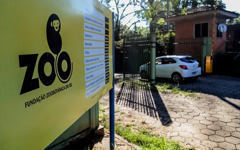 Visite o Zoo de Sapucaia neste feriado: entrada gratuita com doação de alimentos!