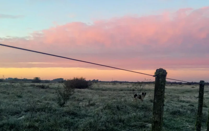 Frio intenso persiste no Rio Grande do Sul por quarto dia consecutivo