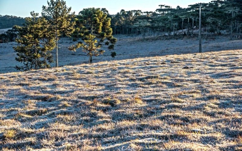 Frio intenso continua no Rio Grande do Sul neste domingo (10); mínimas podem ficar abaixo de zero