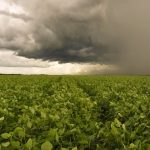 Domingo traz possibilidade de chuvas fortes em áreas isoladas do Rio Grande do Sul