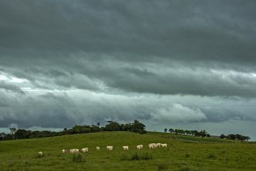 Tempestade promete retornar ao Rio Grande do Sul após uma manhã gelada e com geadas nesta quinta-feira