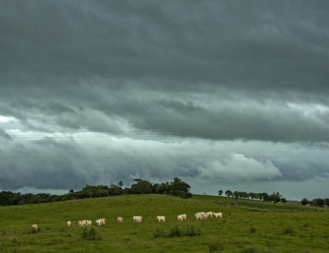 Tempestade promete retornar ao Rio Grande do Sul após uma manhã gelada e com geadas nesta quinta-feira